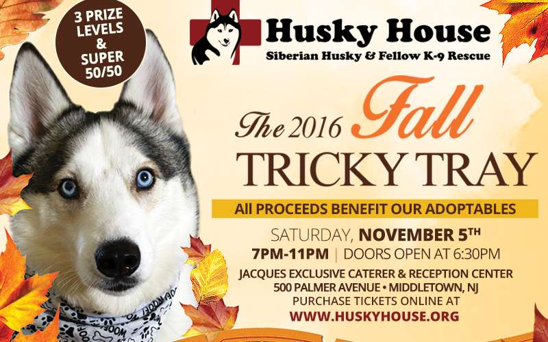 Husky House Fall Tricky Tray 2016 Husky House Fall Tricky Tray 2016