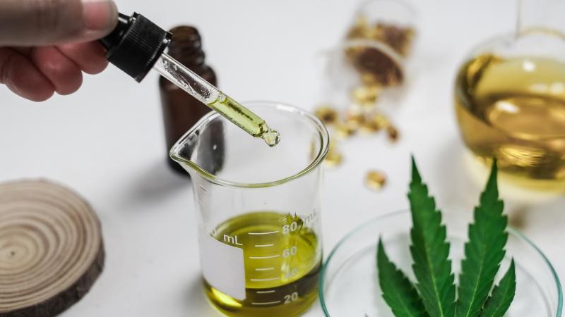 CBD and Our Microbiome