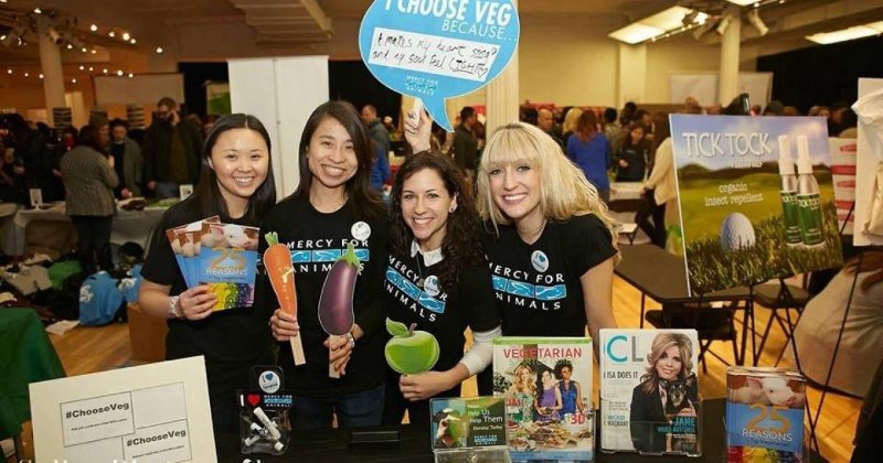 Get Your Fill Of Veggies At The Hudson Valley VegFest