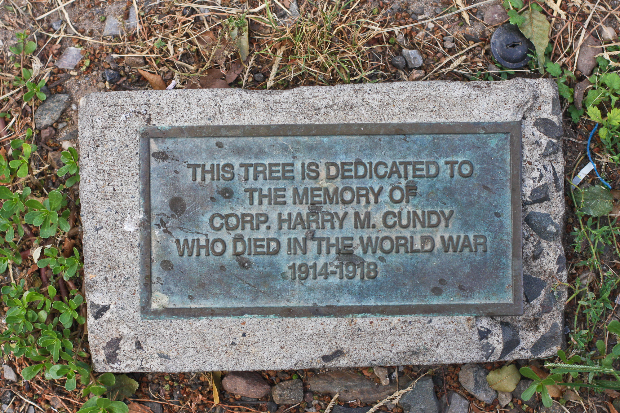 World War I New York Virtual Tour