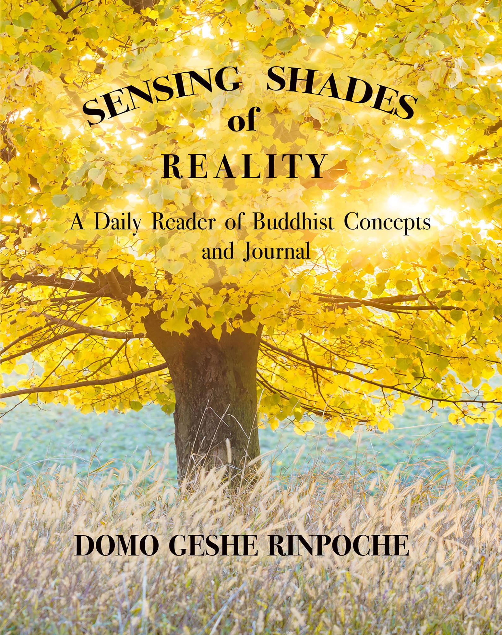 Domo Geshe Rinpoche Reads at Room