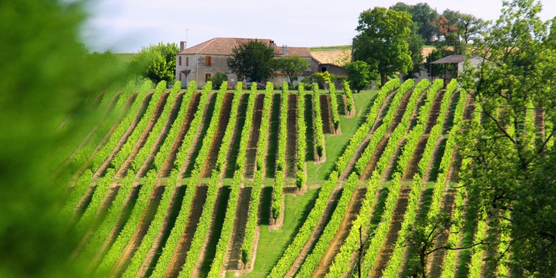 Summer in Provence Wine Dinner