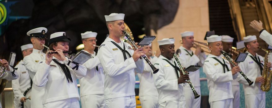 Veterans Day at Georgia Aquarium