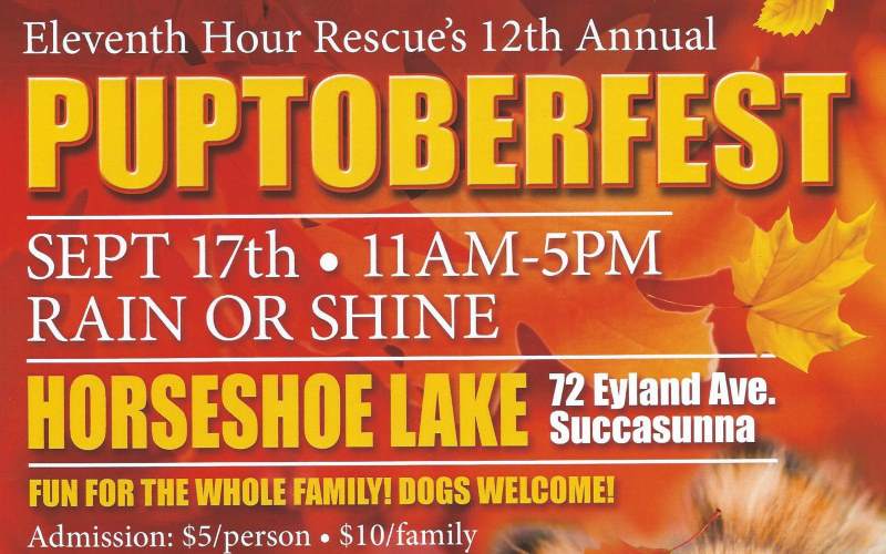 Eleventh Hour Rescue's 2016 Puptoberfest