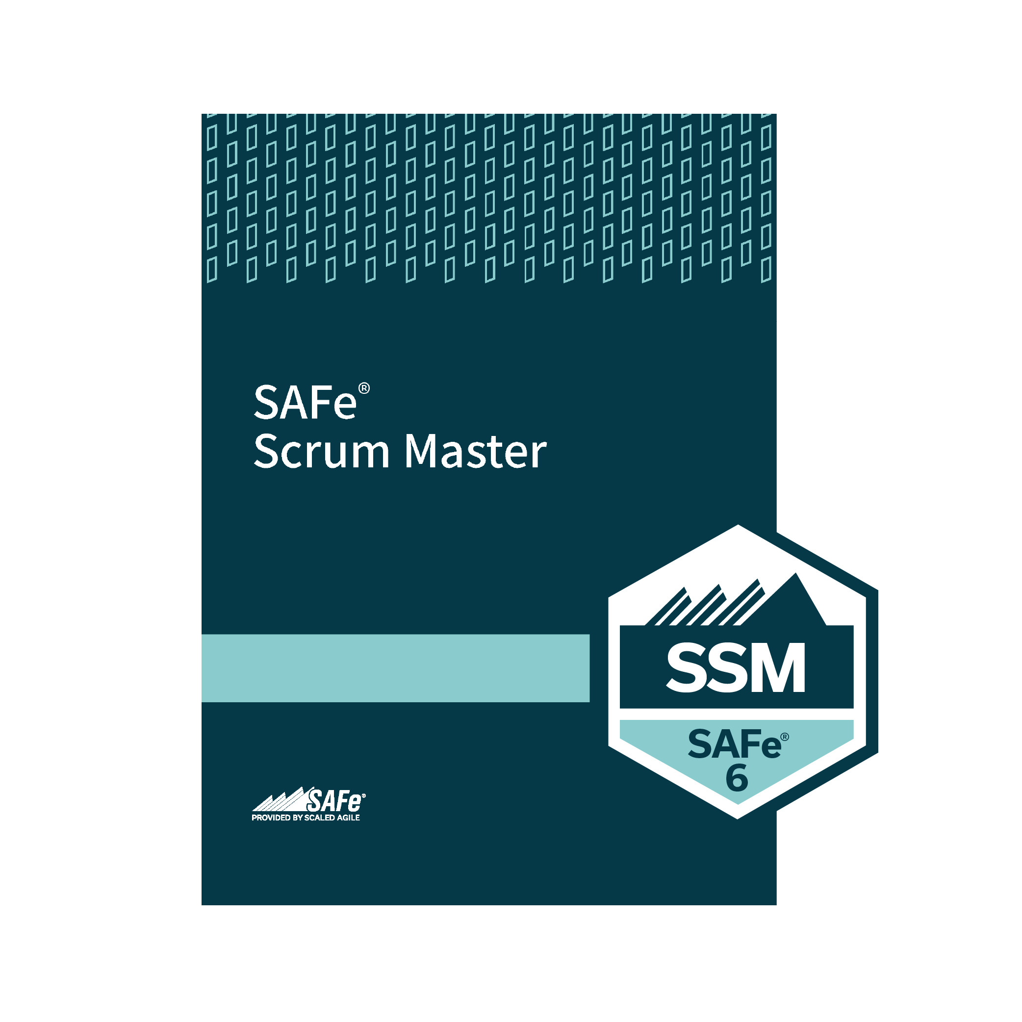 SAFe Scrum Master (Remote)