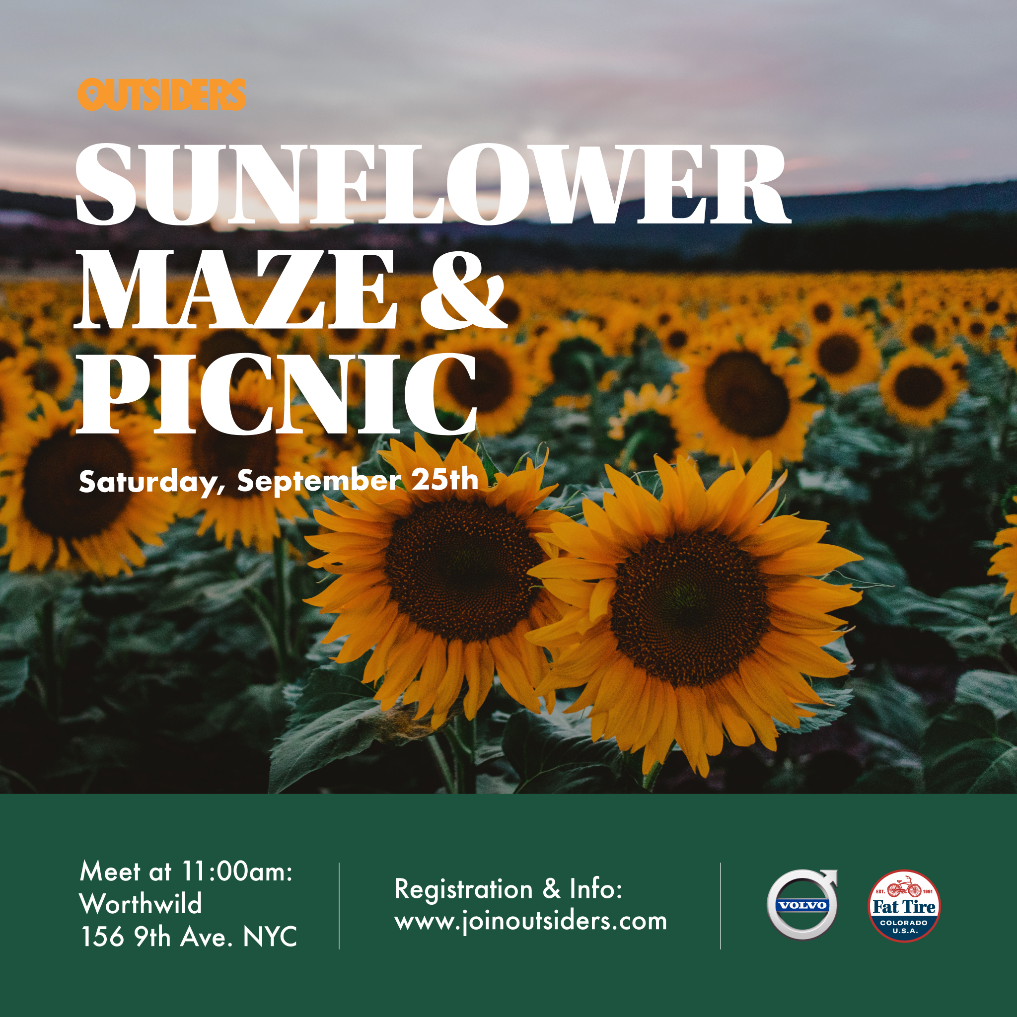 Sunflower Maze & Picnic