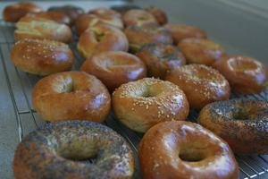 Bagel Workshop 2017