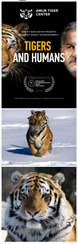 Series 13 - 2017 WCFF Series 13 - 2017 WCFF