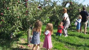 19th Annual Wayne County Apple Tasting Tour