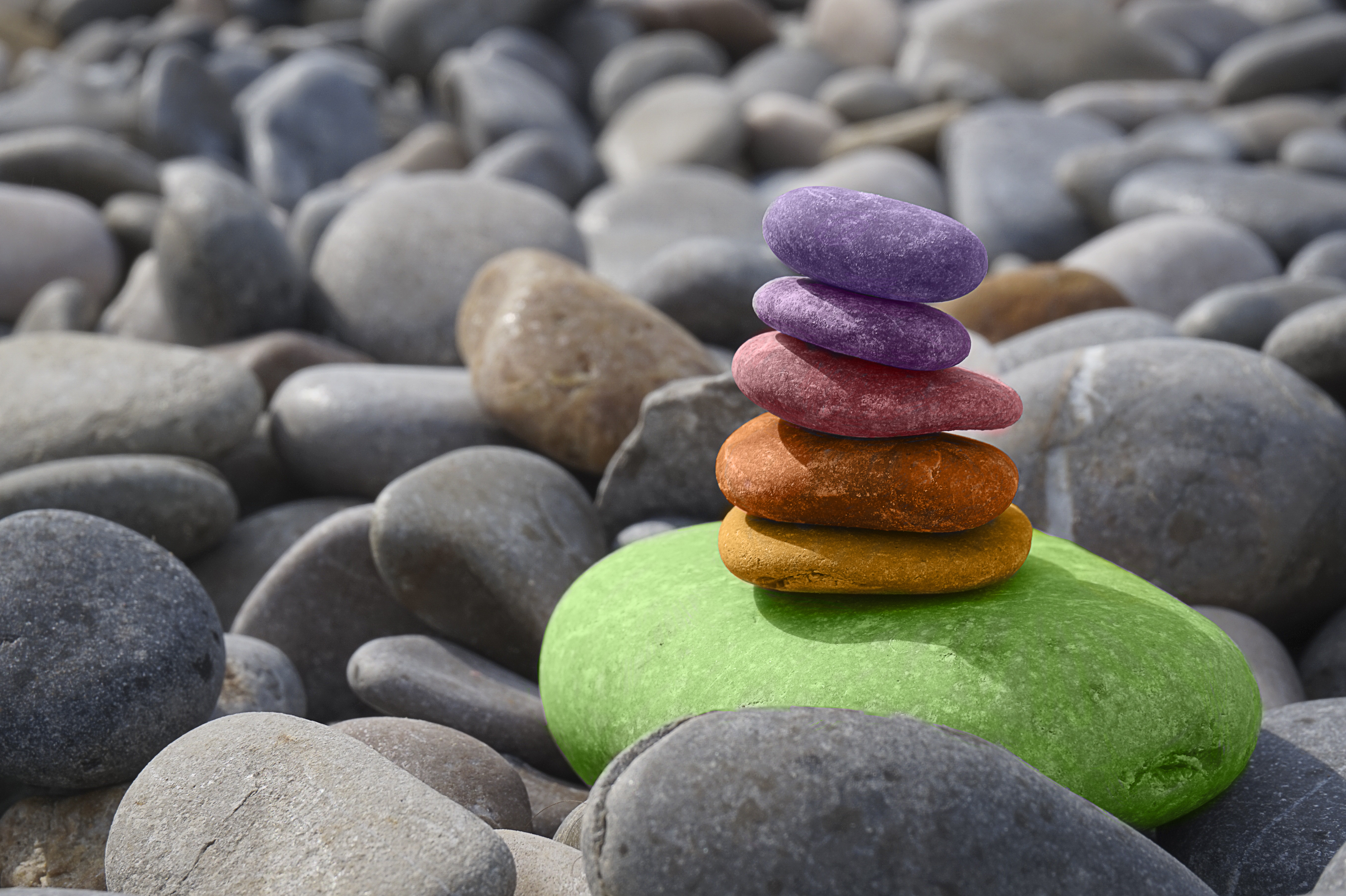 Free Taster-Intro to Mindfulness Free Taster-Intro to Mindfulness