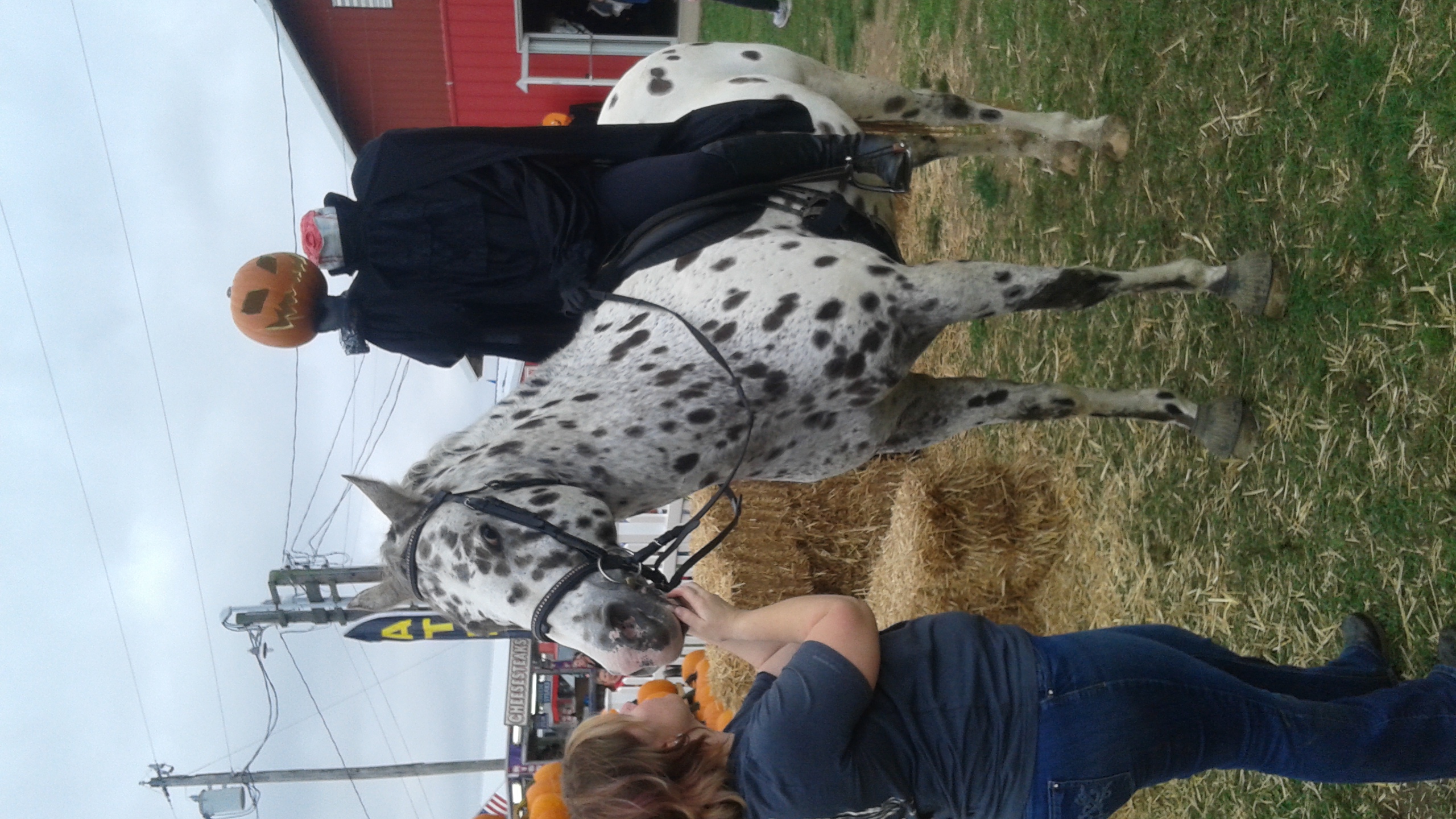 South Jersey Pumpkin Show
