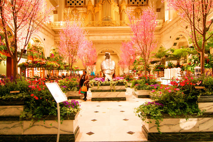 Prepare For Spring With Macy’s Flower Show 