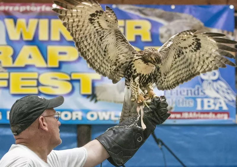 7th Annual Winter Raptor Fest