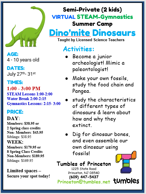VIRTUAL STEAM-Gymnastics-Dino’mite Dinosaurs
Summer Camp