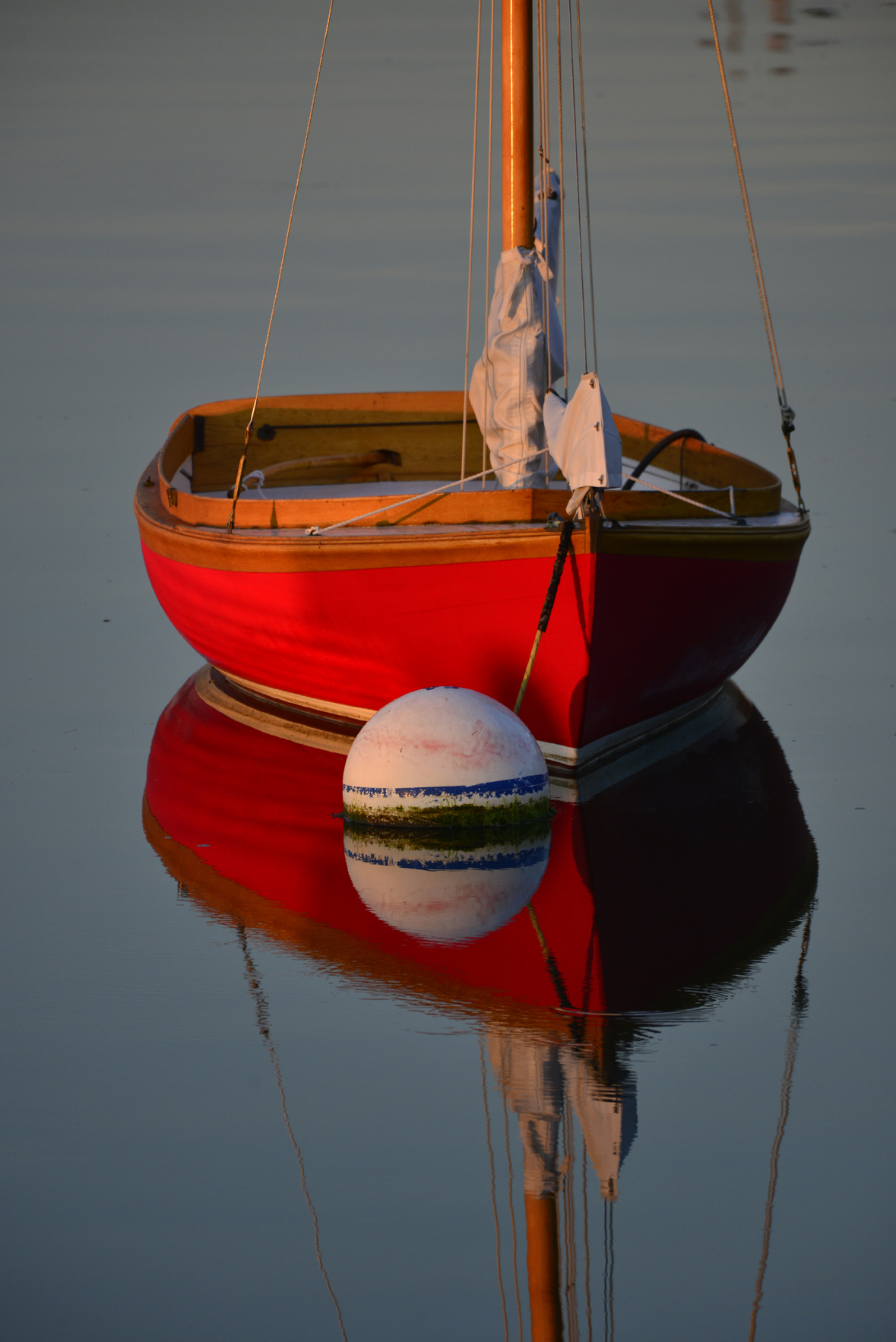 REMOTE LEARNING: Mastering Color in Photography REMOTE LEARNING: Mastering Color in Photography