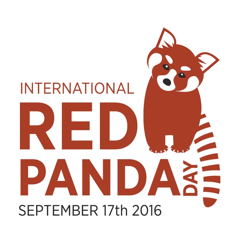 International Red Panda Day