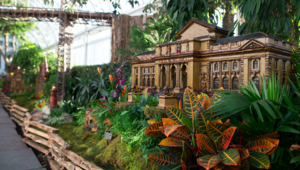 Holiday Train Show