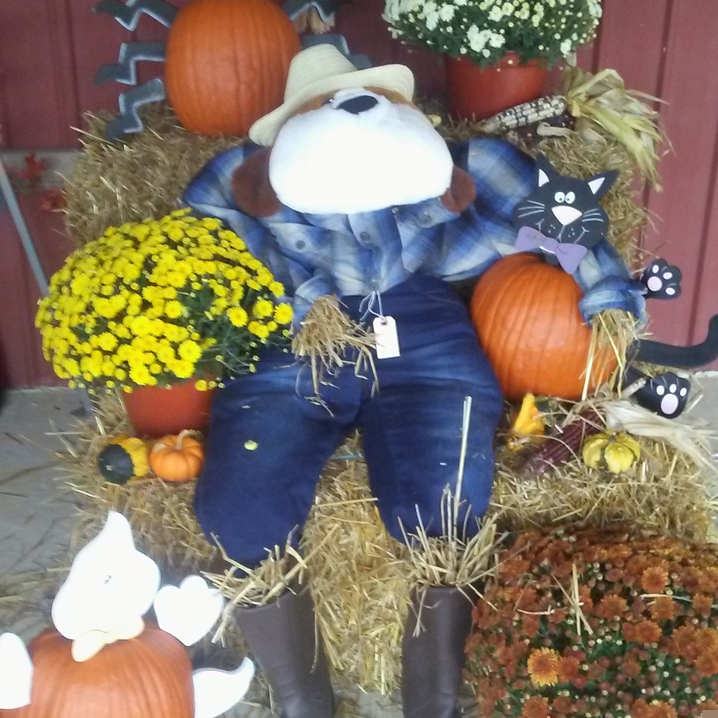 South Jersey Pumpkin Show