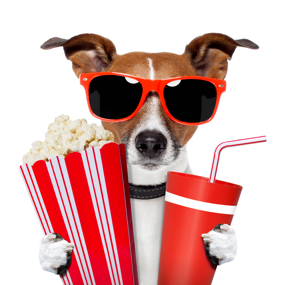 New York’s Dog Film Festival Arrives To Entertain All Canine Lovers