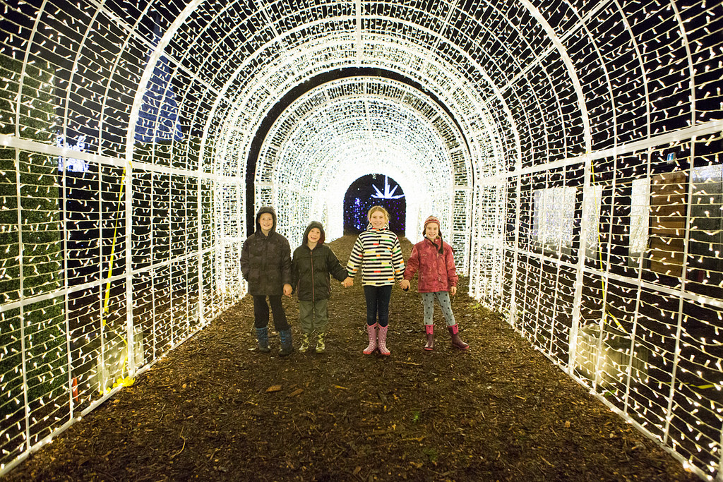 Dallas’s Enchant Christmas Brings You The World’s Largest Light Maze