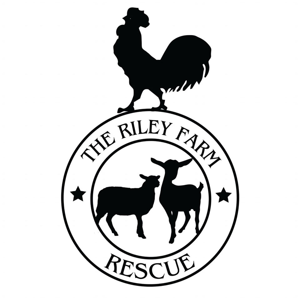 The Riley Farm Rescue Experiences