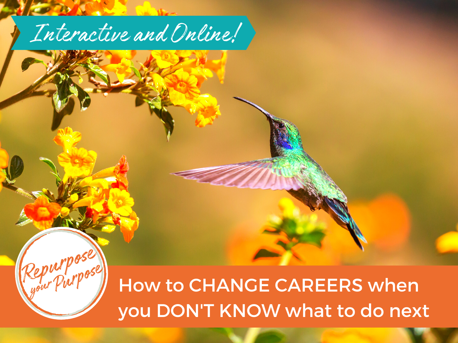 How To Change Careers When You Don't Know What To Do Next