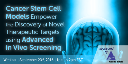 Cancer Stem Cell Models Empower the Discovery of Novel Therapeutic Targets using Advanced in Vivo Screening