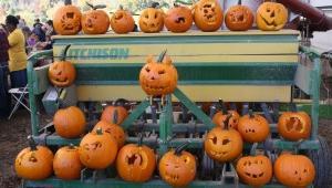 22nd Annual Hawthorne Valley Fall Festival