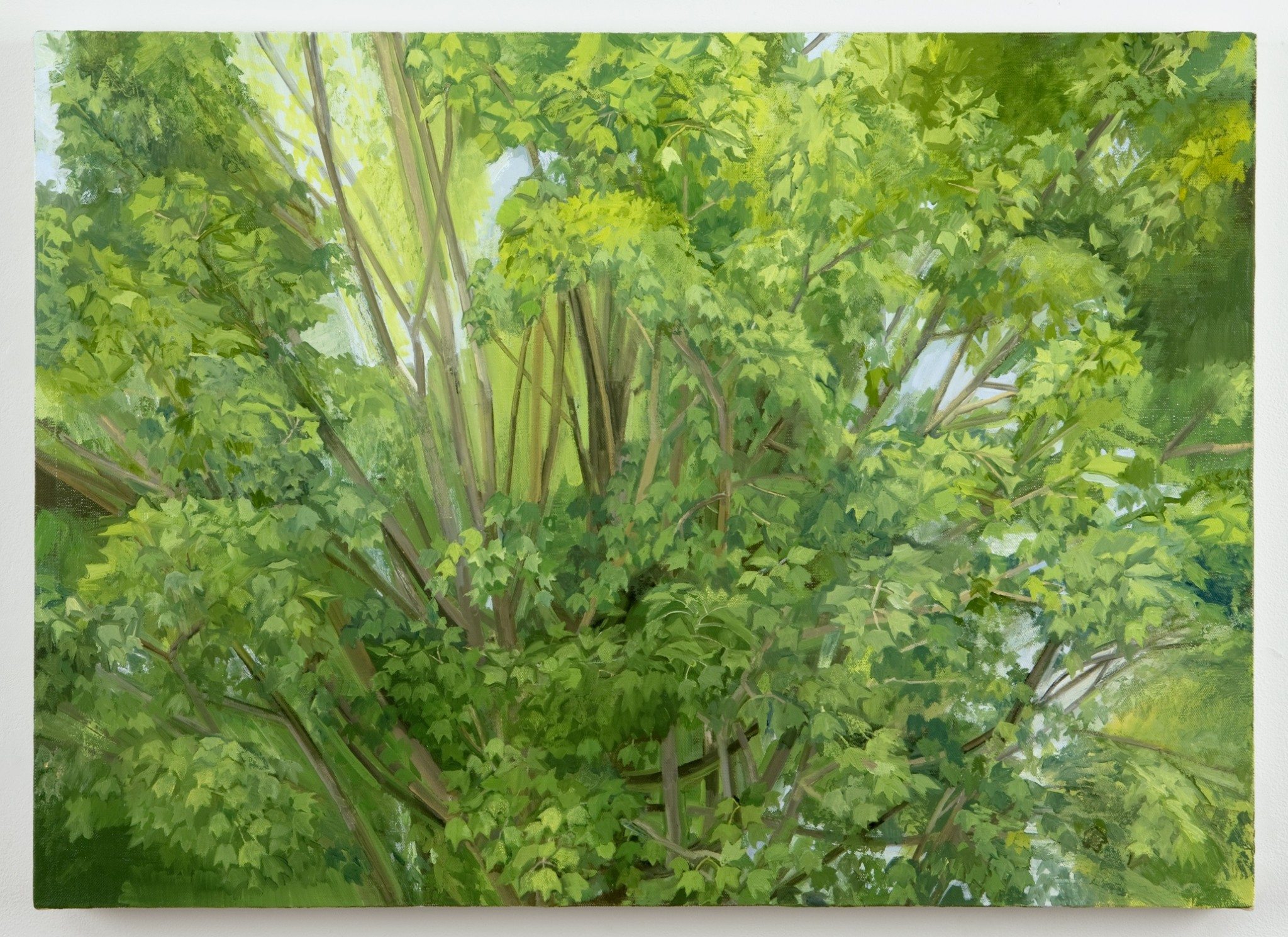 Painted Landscapes: Contemporary Views Painted Landscapes: Contemporary Views