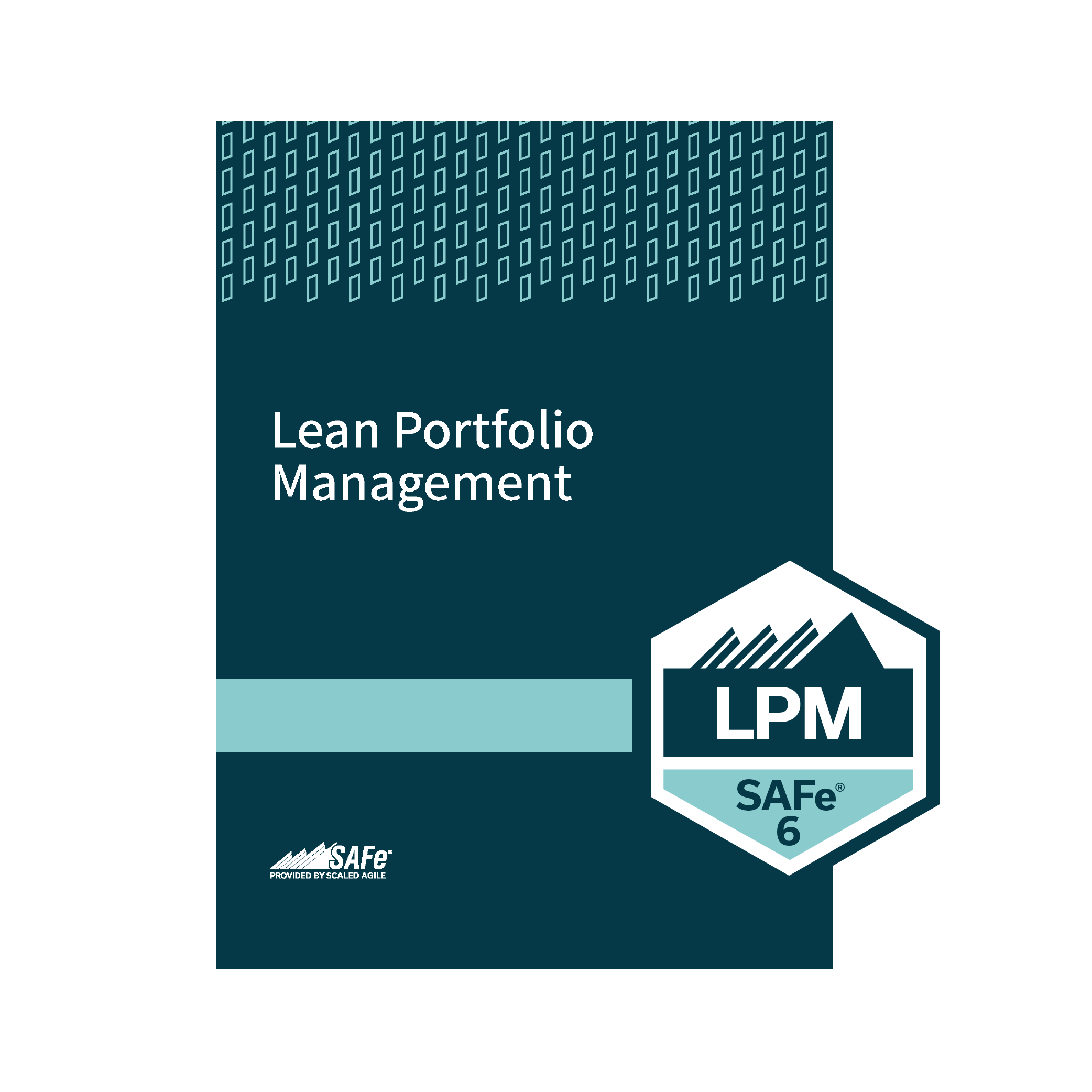 Lean Portfolio Management 6.0 (Remote)