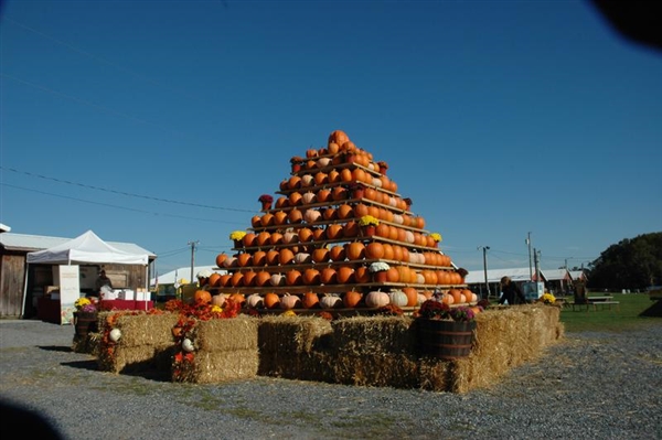 South Jersey Pumpkin Show