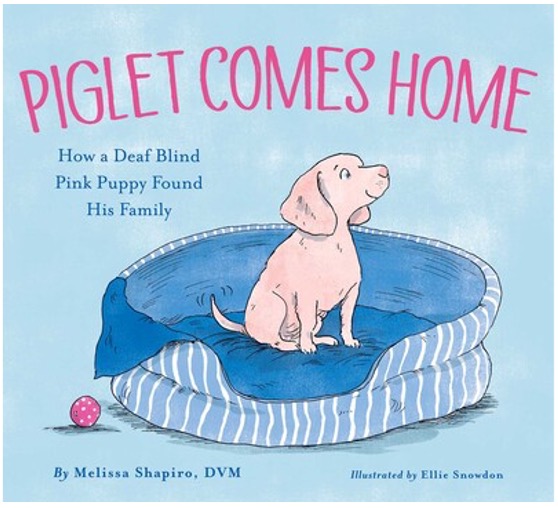 In-Person Event with Piglet & Melissa Shapiro/Piglet Comes Home