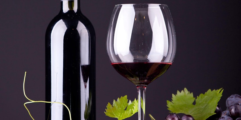 Intro to Winemaking 7/23