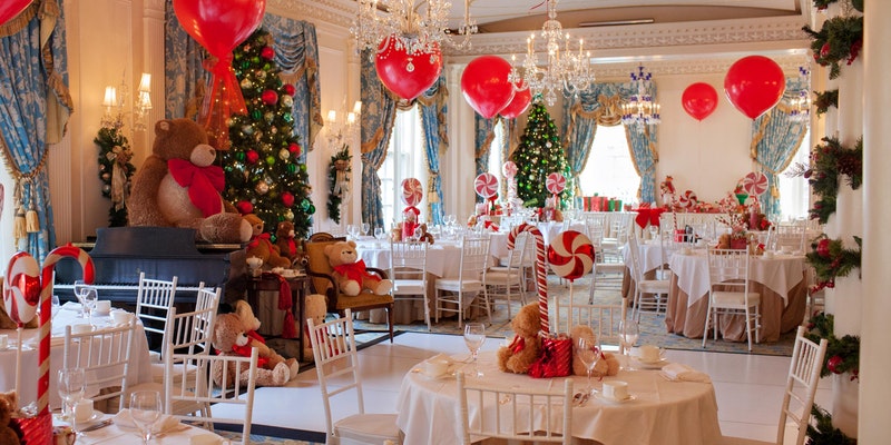 Taj Boston Teddy Bear Tea Taj Boston Teddy Bear Tea