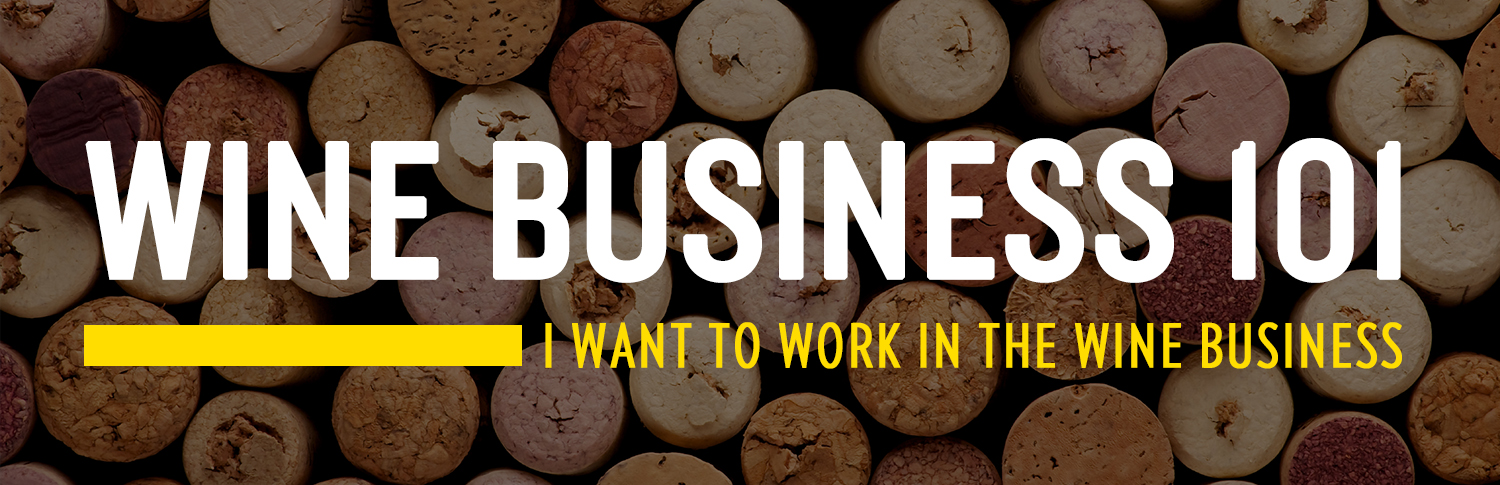 Wine Business 101 - I Want to Work in the Wine Business