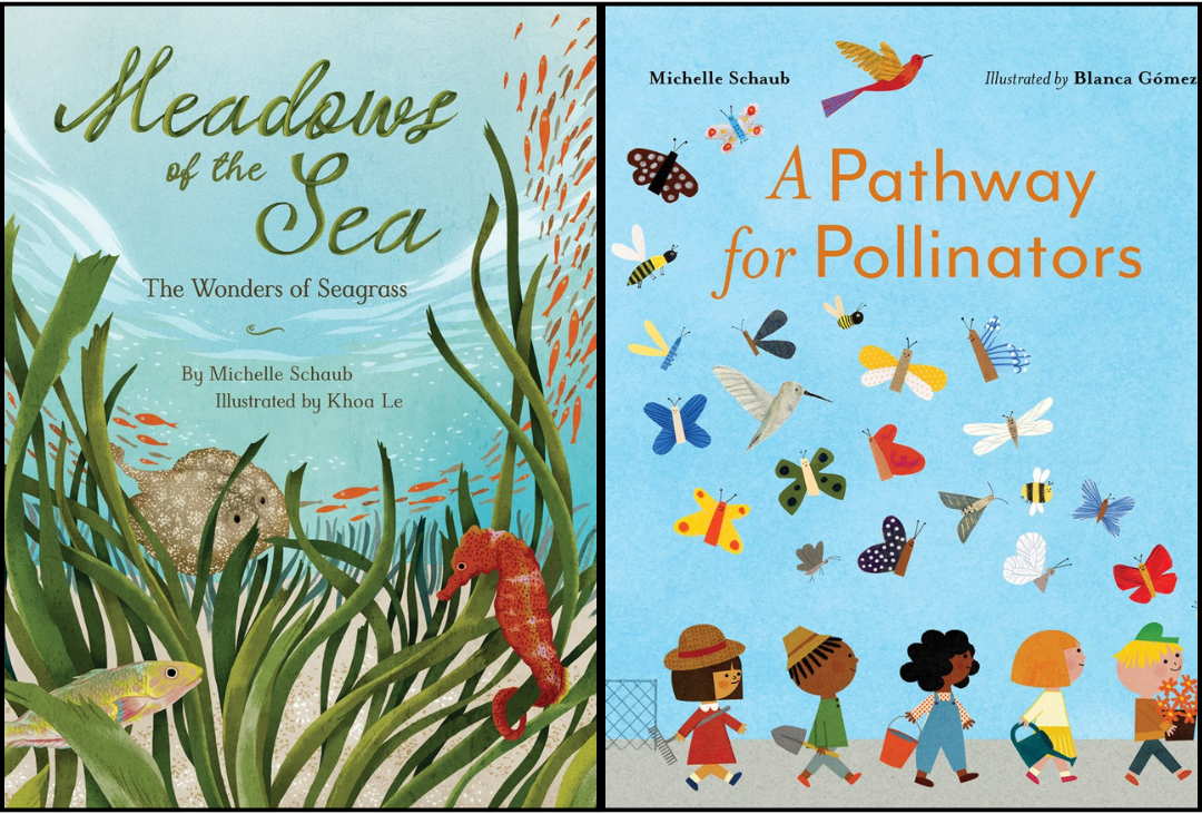 Author Event with Michelle Schaub/Meadows of the Sea & A Pathway for Pollinators