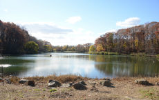 Women's History Month Hike (moderate)