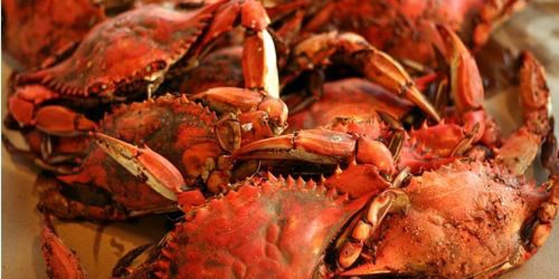 SouthEast Crab Feast - Charlotte (Part 2)