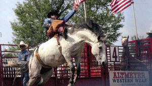 73rd Annual Gerry Rodeo