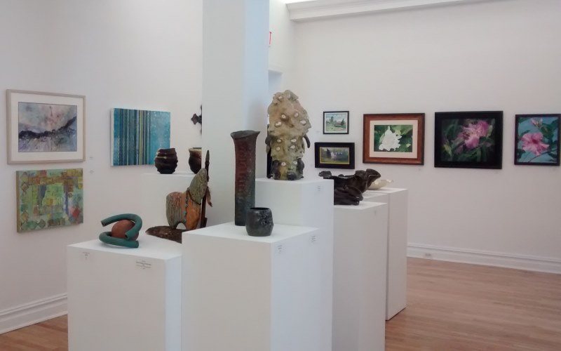 Members' Non-juried Exhibit