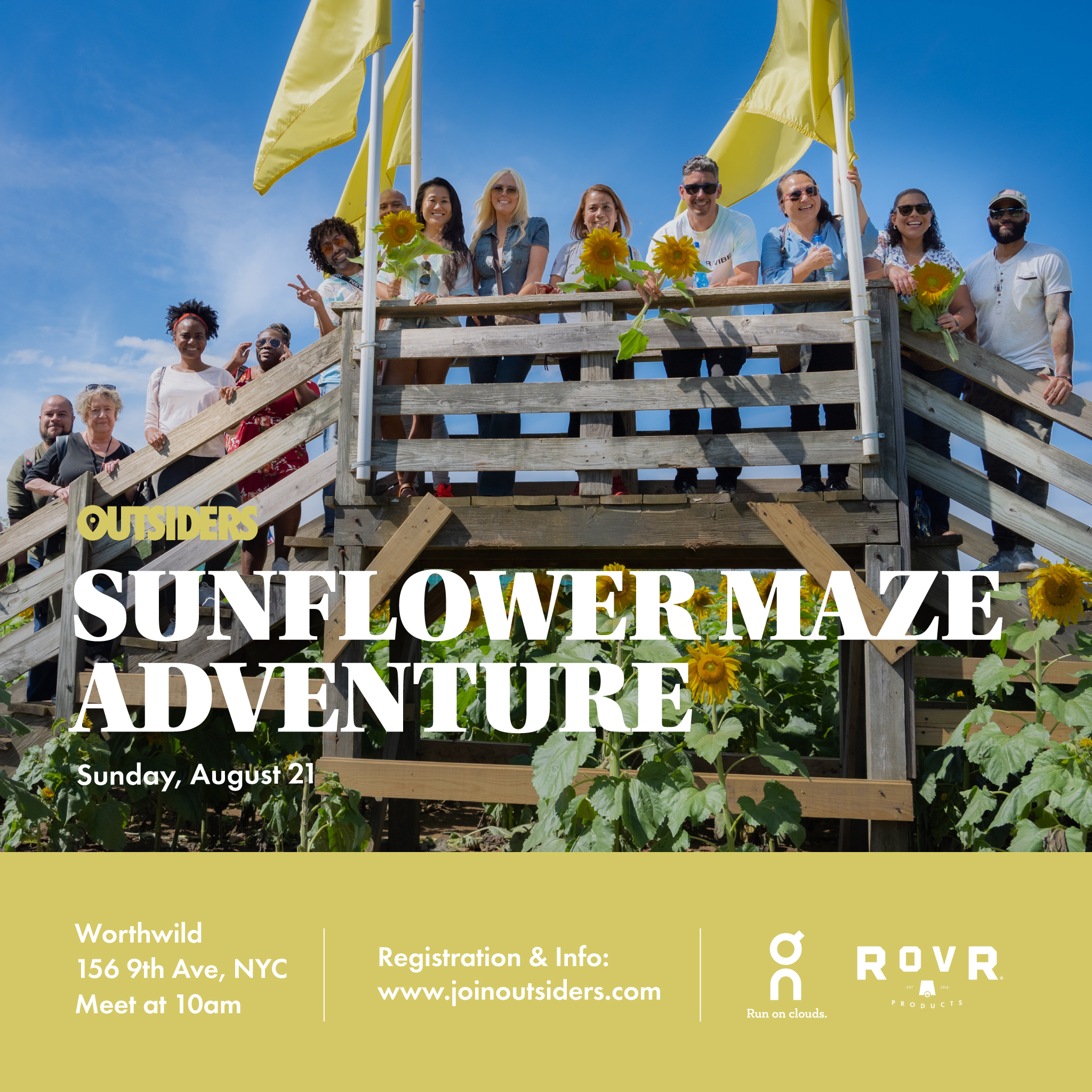 Sunflower Maze Adventure