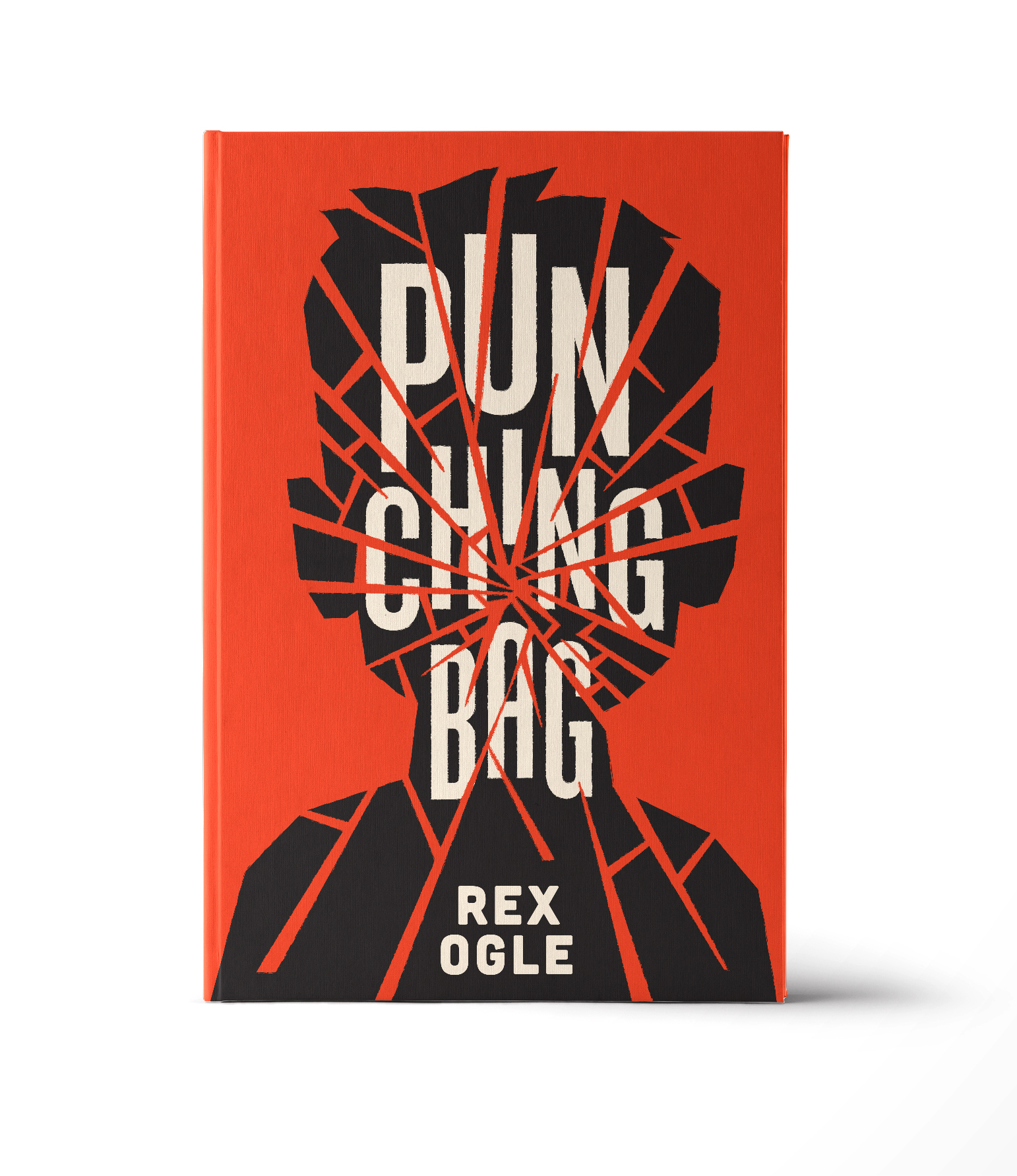 Virtual event with Rex Ogle/Punching Bag