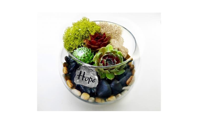 Create Your Own Terrarium