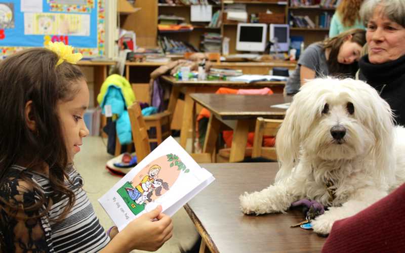 Read To A Dog At Sussex County Library