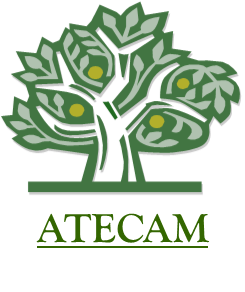 ATECAM Nursing Conferences