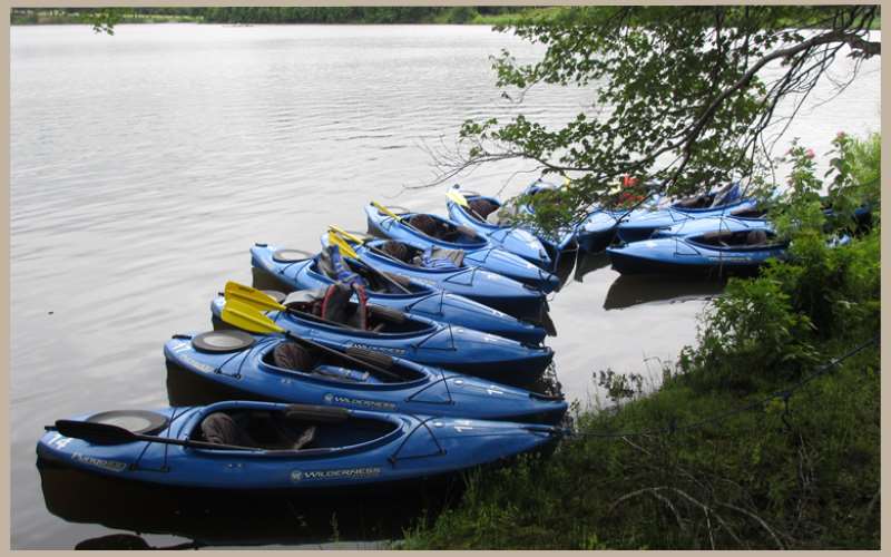 Kayak Tours Of Mercer Lake