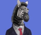 Zebruze2