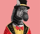 Zebruze4