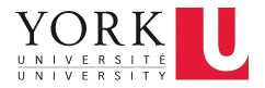 York University