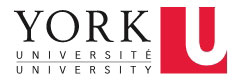 York University